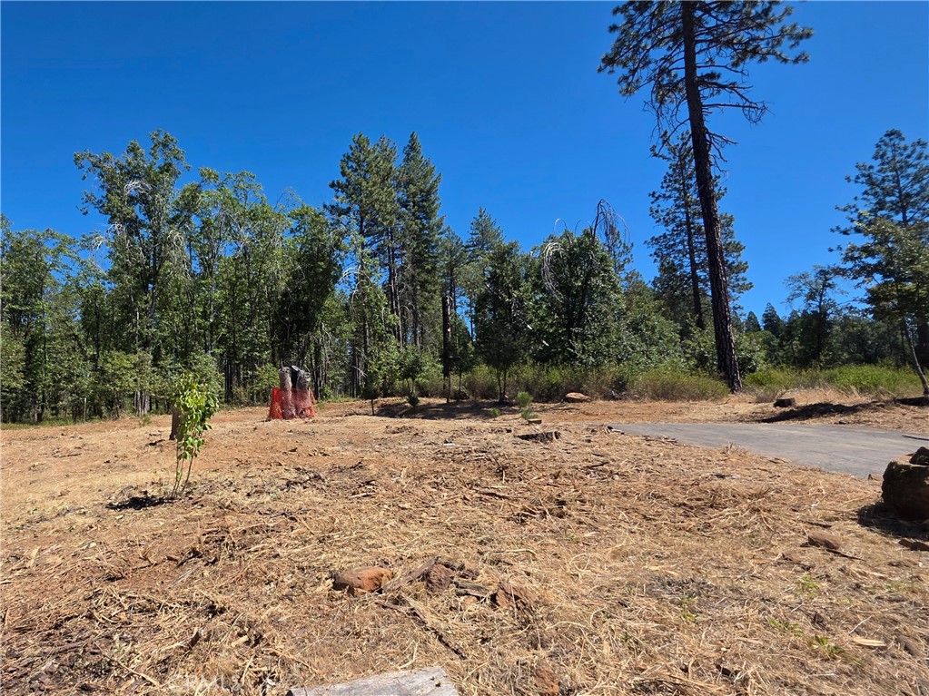 6187 Linda Lee Court Property Photo 11