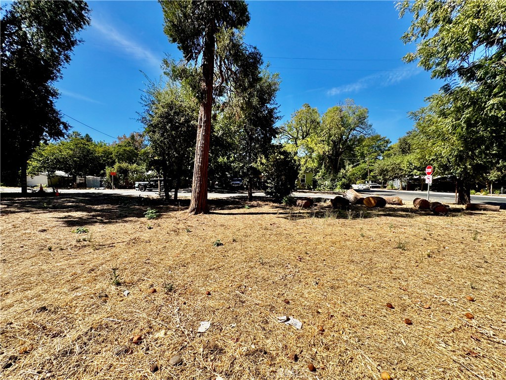 1257 9th E Property Photo 6