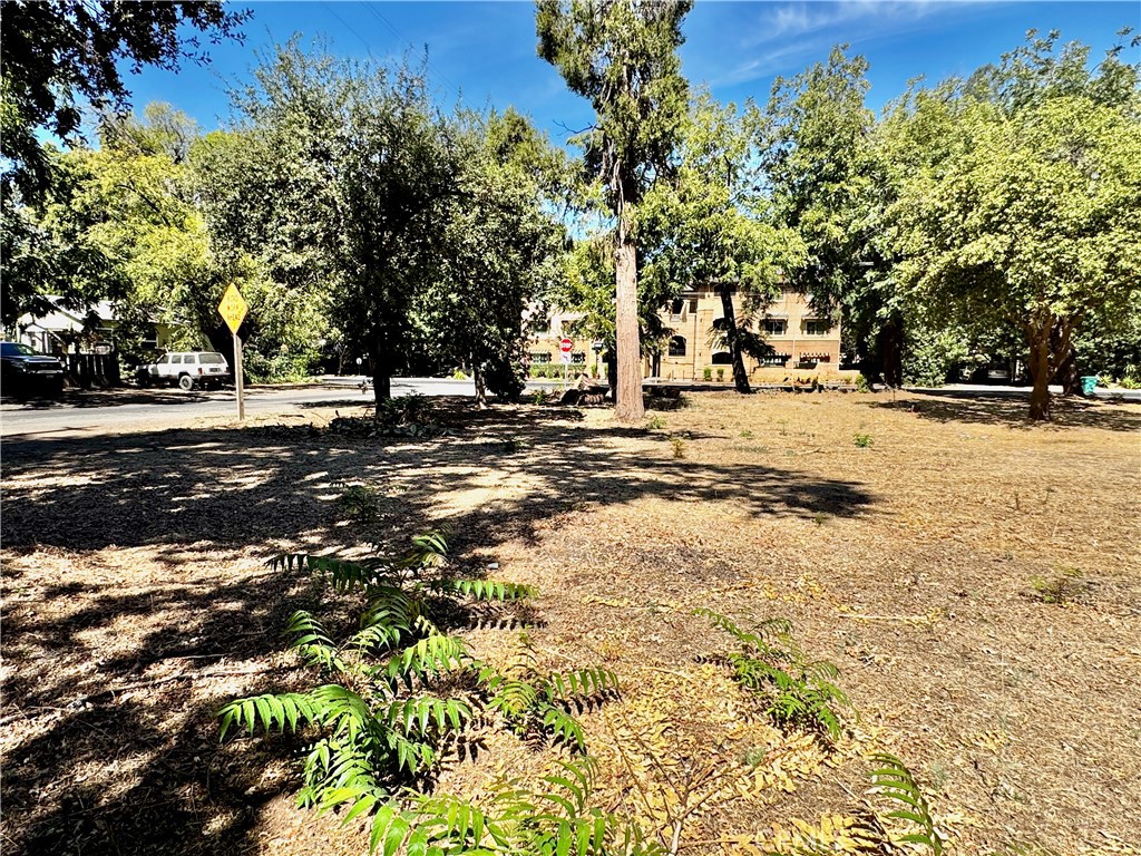 1257 9th E Property Photo 8