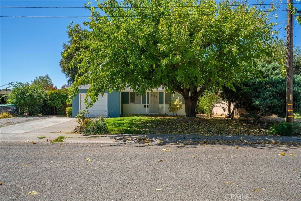 1490 Orange Street Property Photo 1