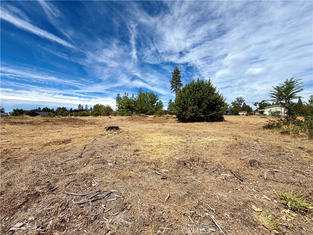 5997 Sawmill Property Photo 2