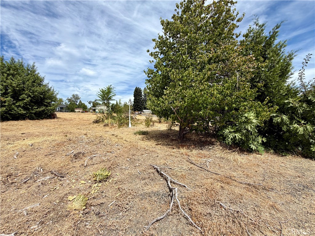 5997 Sawmill Property Photo 3
