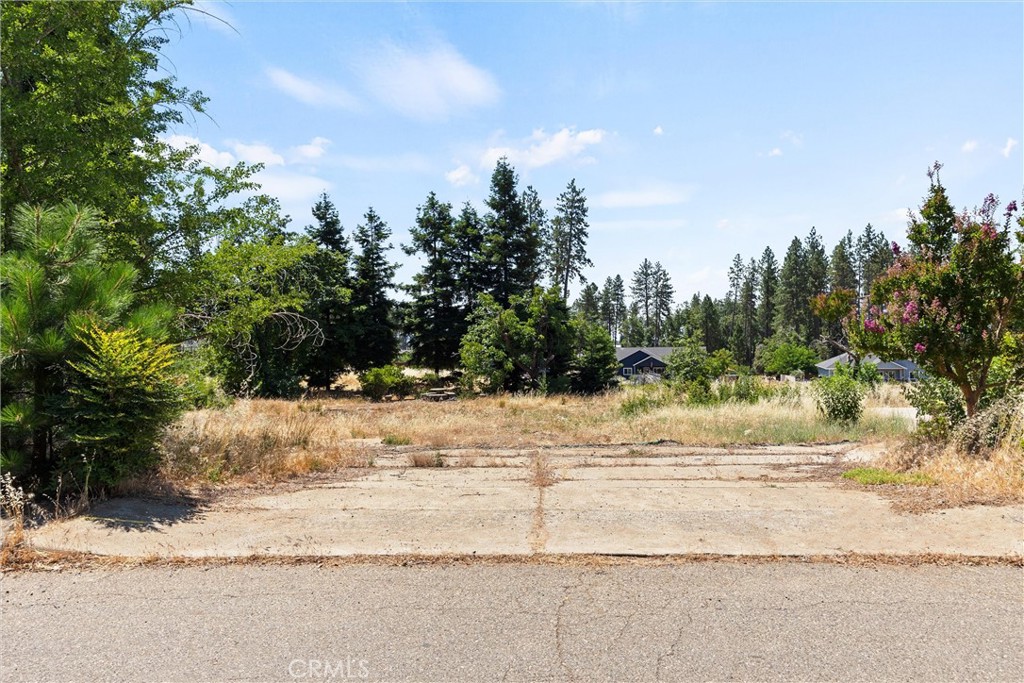 1382 Delia Way Property Photo 1