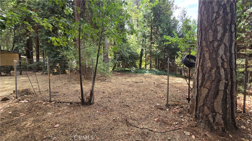 6566 Woodward Property Photo 33