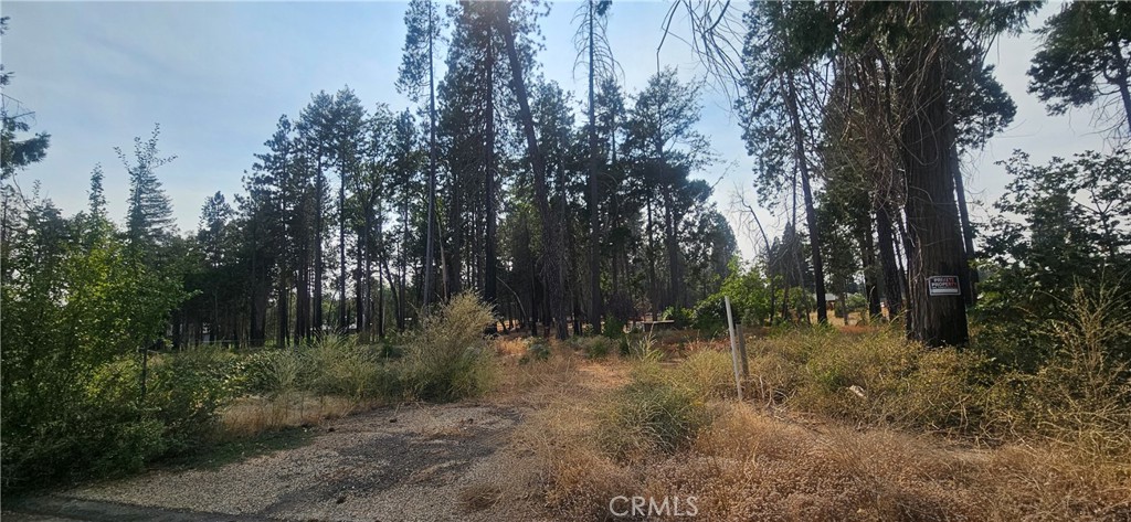 13901 W Park Property Photo 1