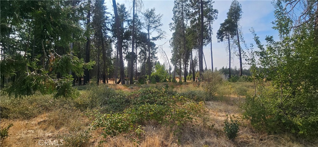 13901 W Park Property Photo 2
