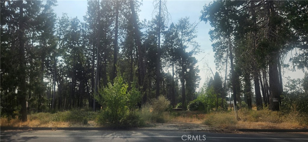 13901 W Park Property Photo 3