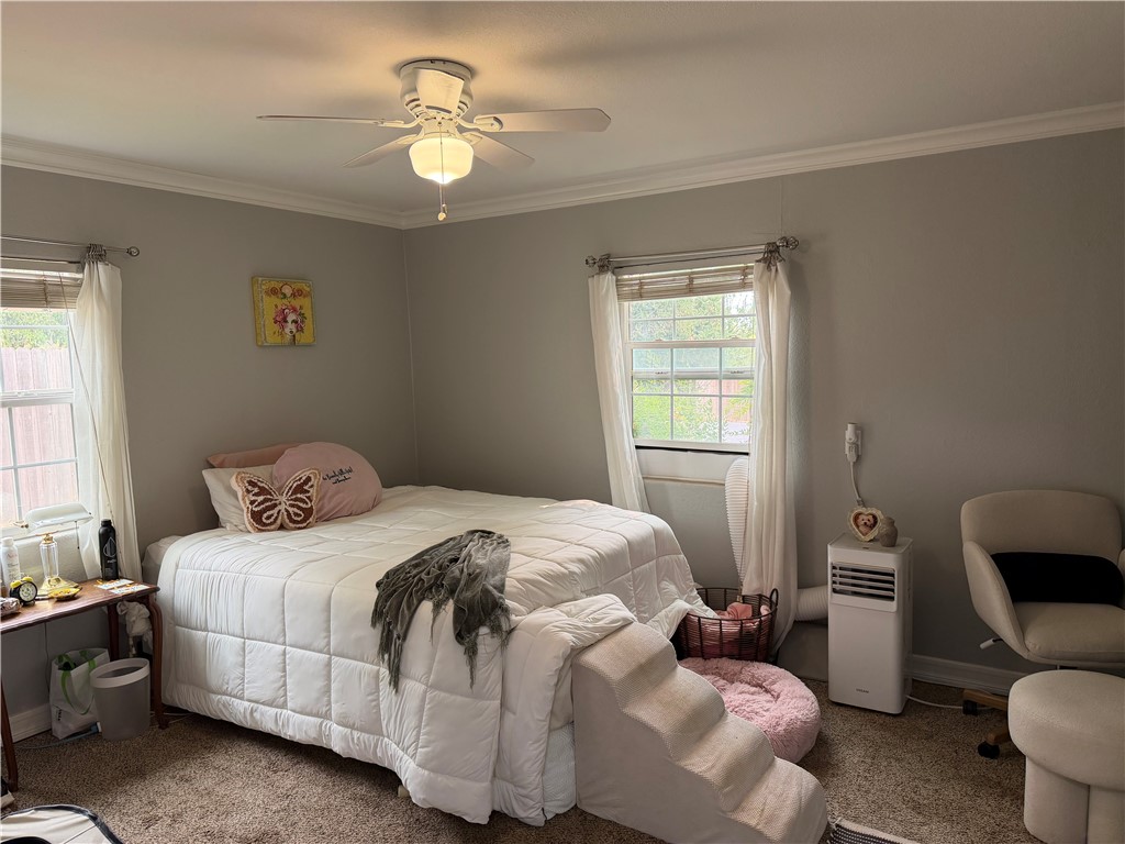 51 Roe Property Photo 11