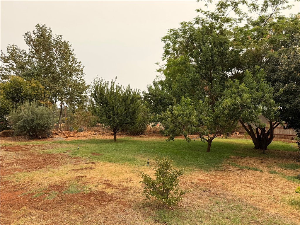 51 Roe Property Photo 20