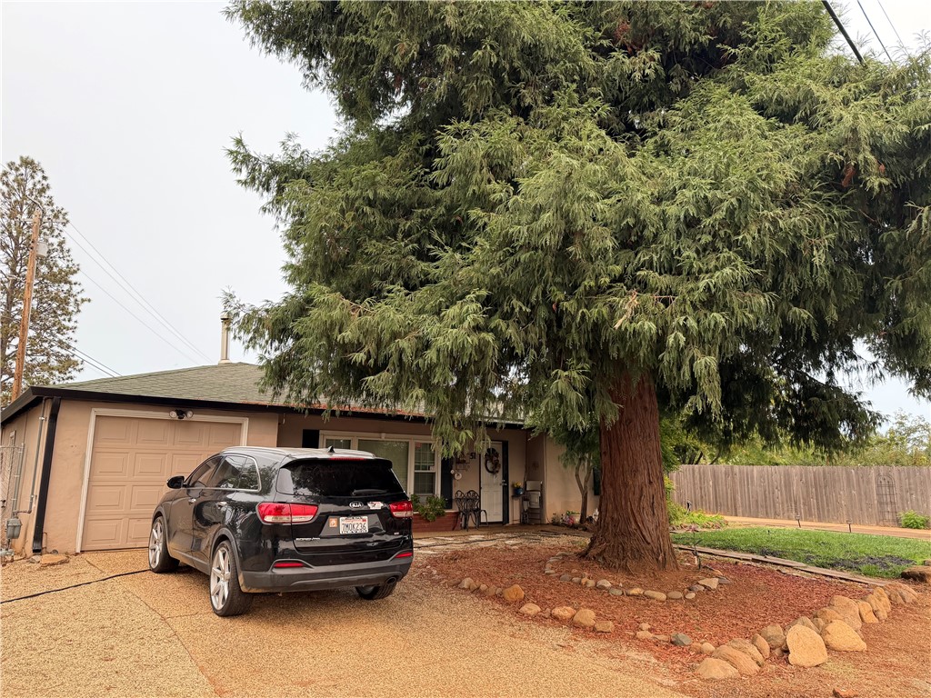51 Roe Property Photo 24