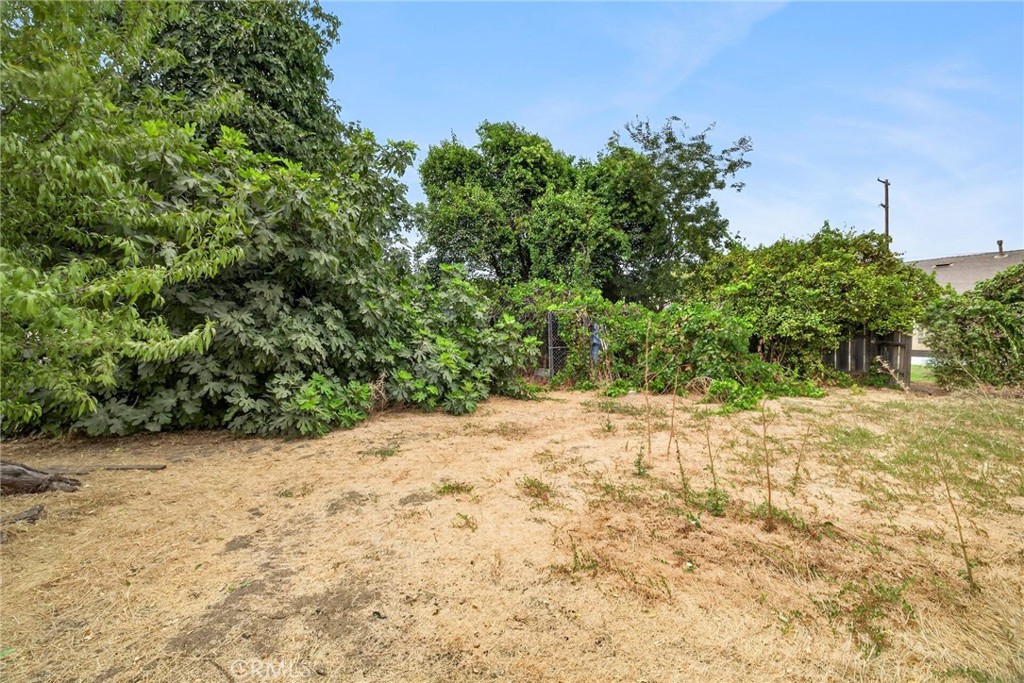942 12th Property Photo 60
