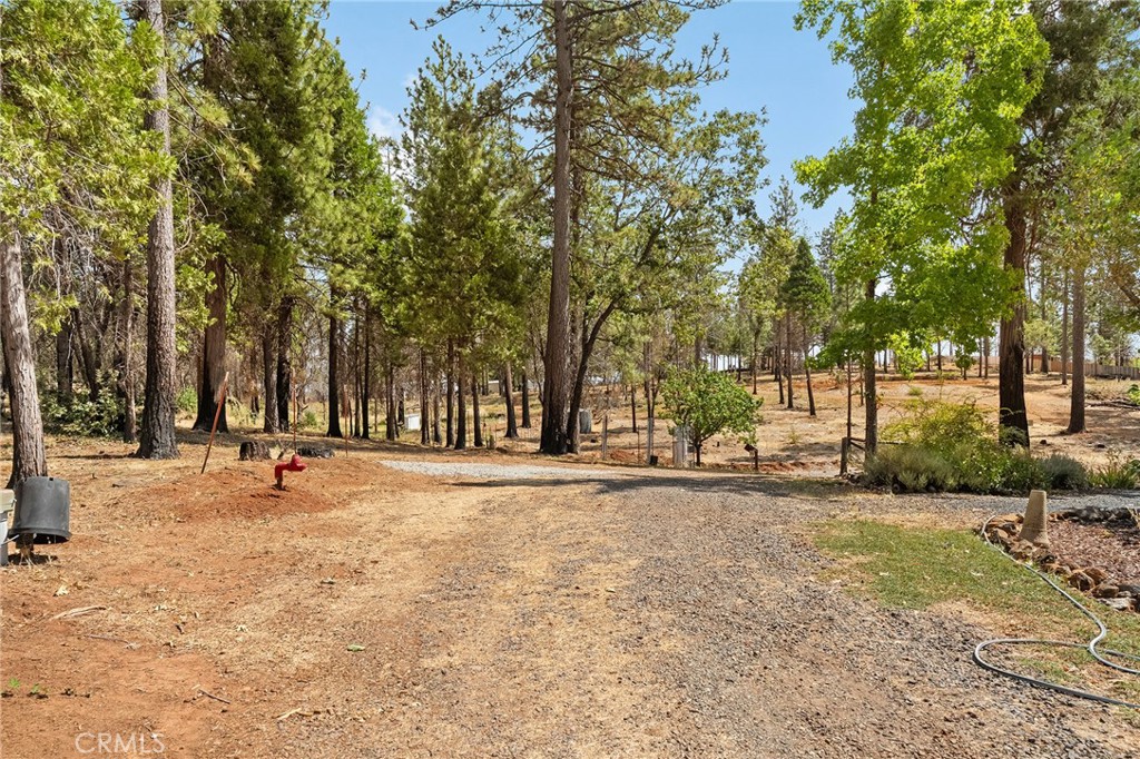 490 Vilas Road Property Photo 45