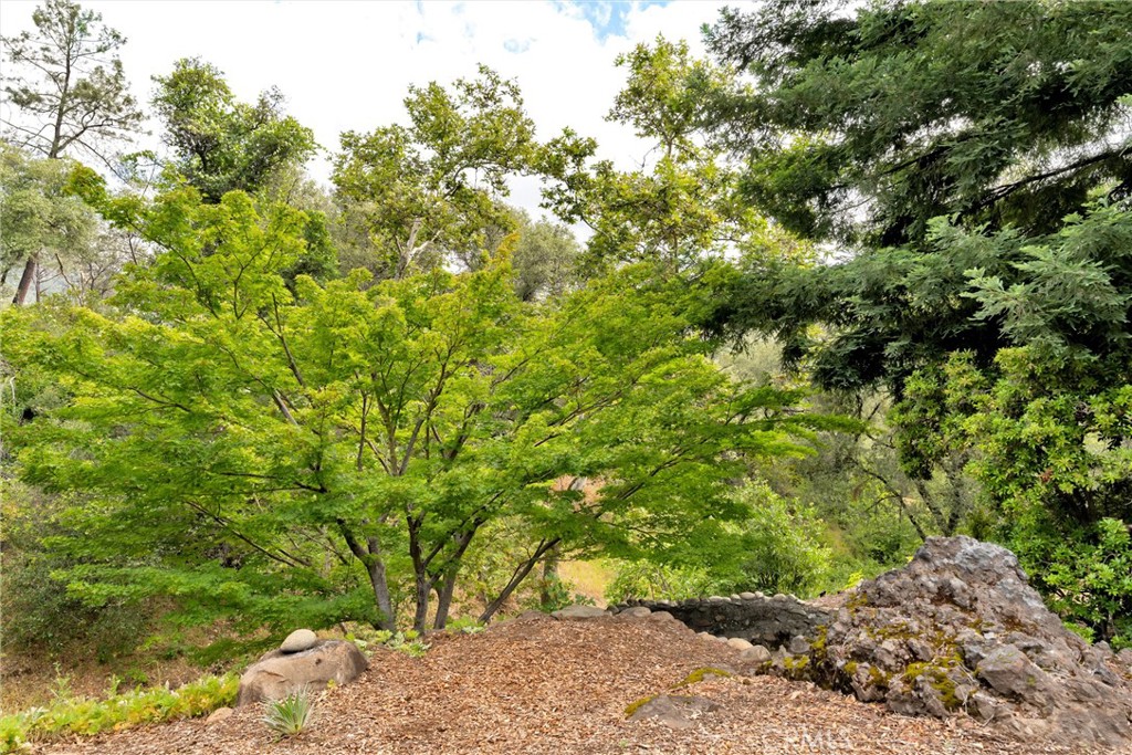 13411 Bean Flat Property Photo 43