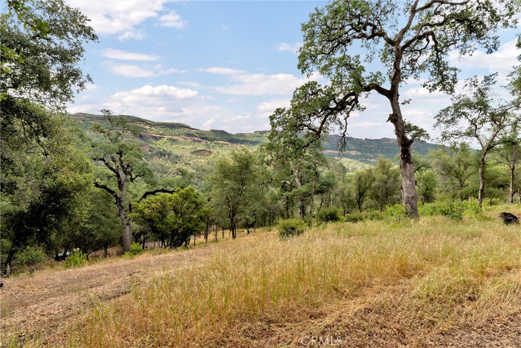 13411 Bean Flat Property Photo 61
