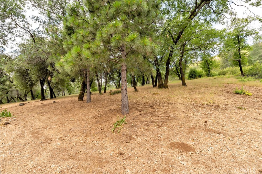 13411 Bean Flat Property Photo 64
