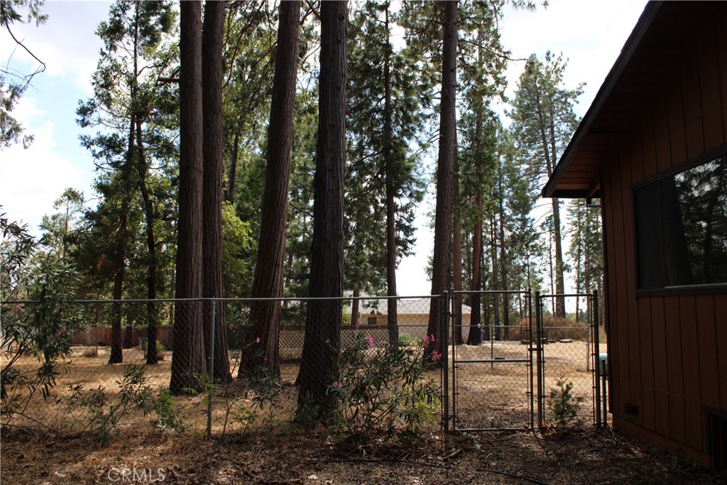 6312 Janine Court Property Photo 41