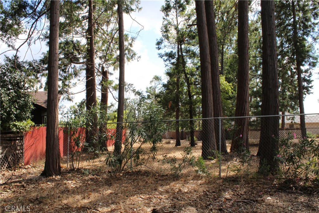 6312 Janine Court Property Photo 42