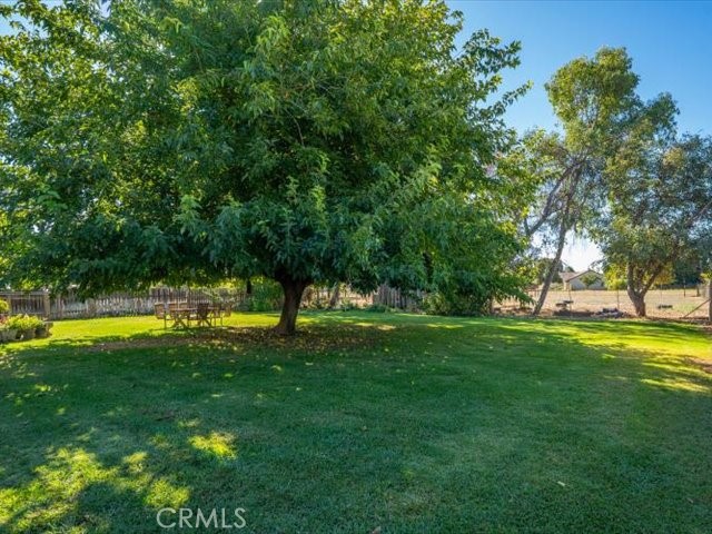 3212 Ark Way Property Photo 32