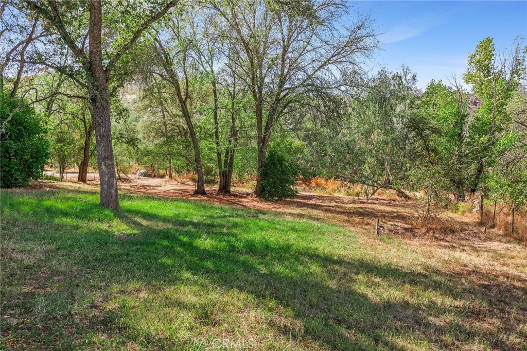 10572 Mooney Flat Property Photo 42