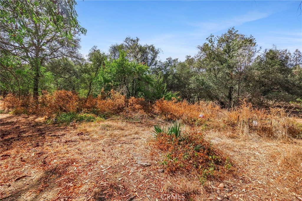 10572 Mooney Flat Property Photo 43