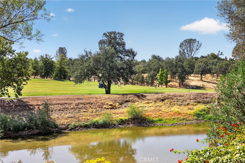 1539 Gold Hills Drive Property Photo 43
