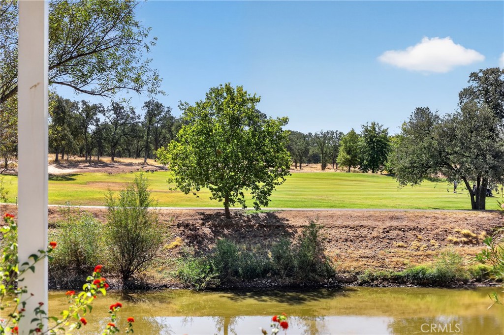1539 Gold Hills Drive Property Photo 45