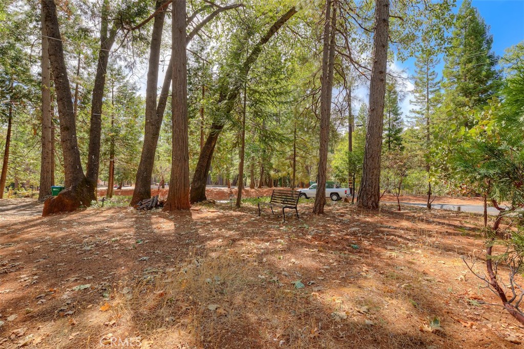 14212 Wycliff Property Photo 32