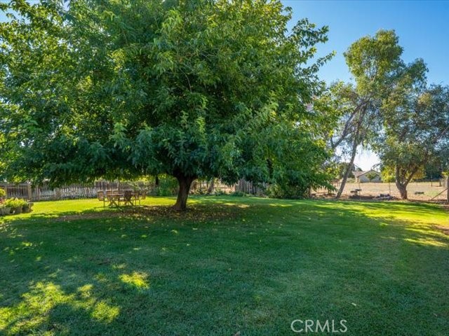 3212 Ark Way Property Photo 34
