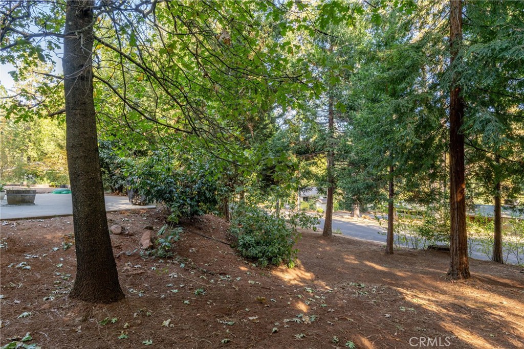 4737 Hartley Property Photo 39
