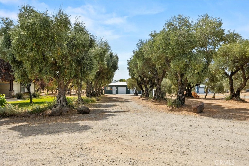 23551 Carona Avenue Property Photo 49