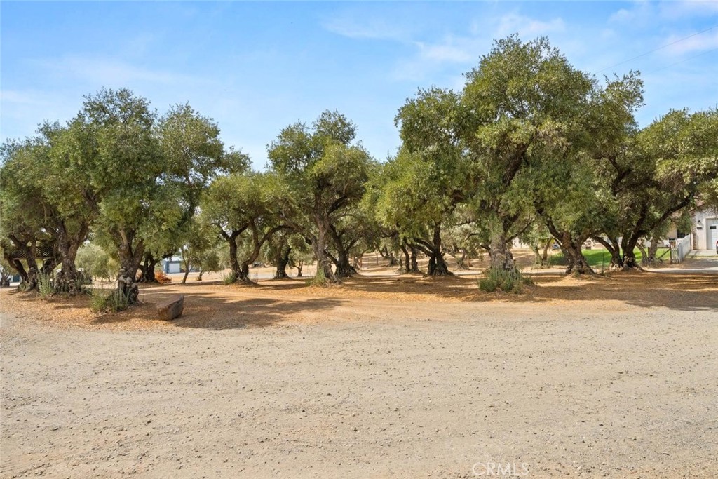 23551 Carona Avenue Property Photo 53