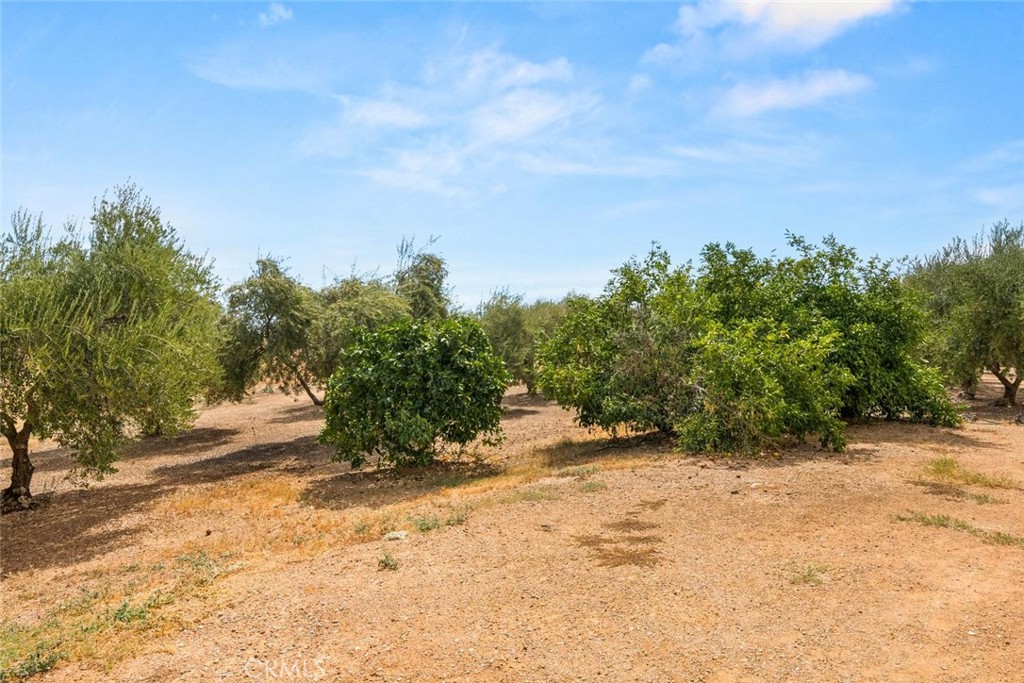 23551 Carona Avenue Property Photo 56