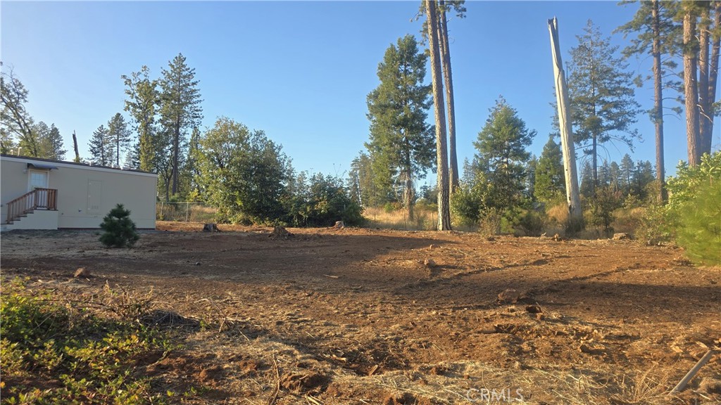 1519 Warren Property Photo 24