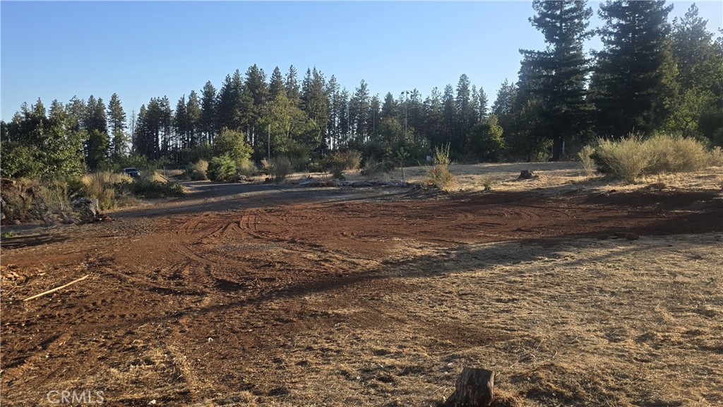 1519 Warren Property Photo 28