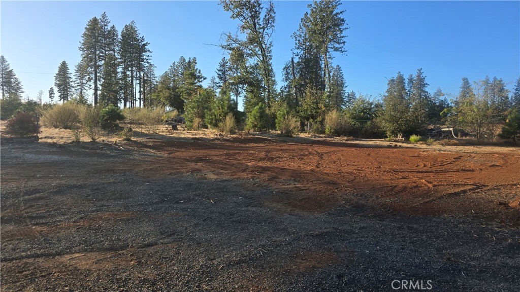 1519 Warren Property Photo 29