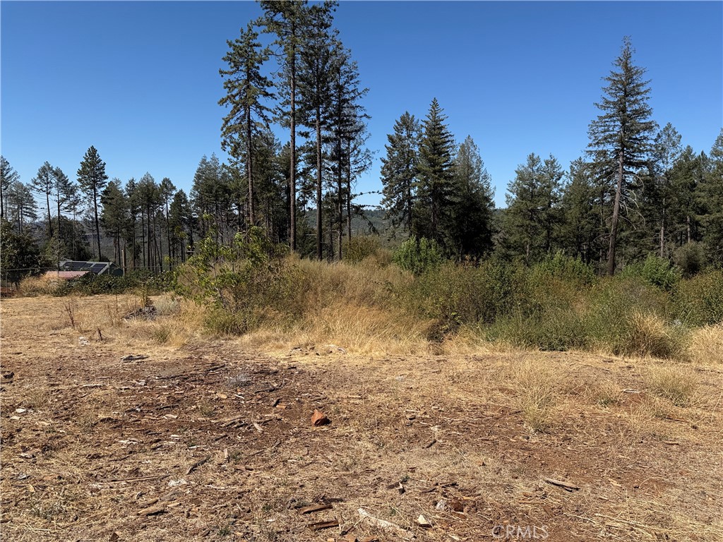 6691 Quail Property Photo 4