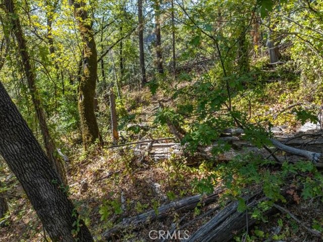 19985 Northwoods Drive Property Photo 70