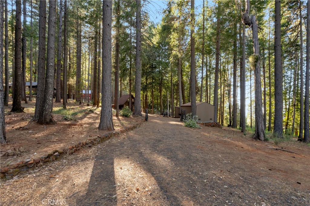 32 Weiss Hill Road Property Photo 26