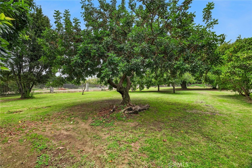 3986 County Road Nn Property Photo 20