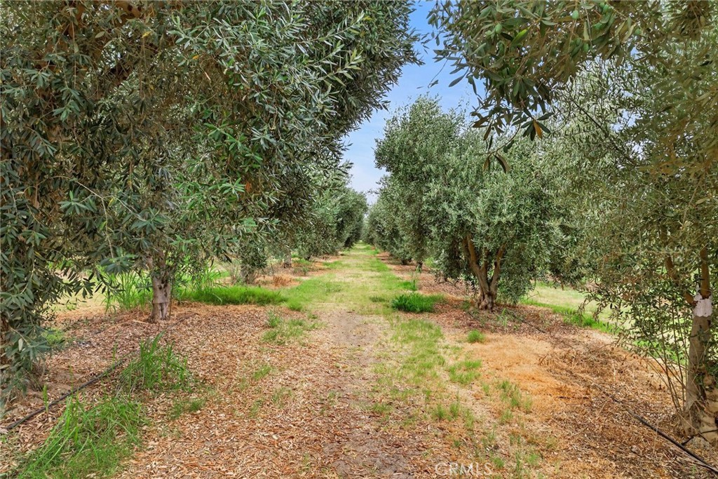 3986 County Road Nn Property Photo 43