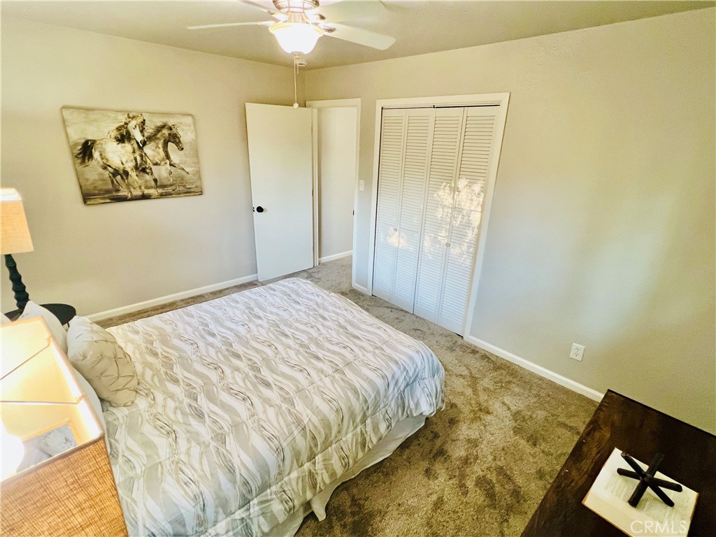 319 Canyon Highlands Property Photo 35