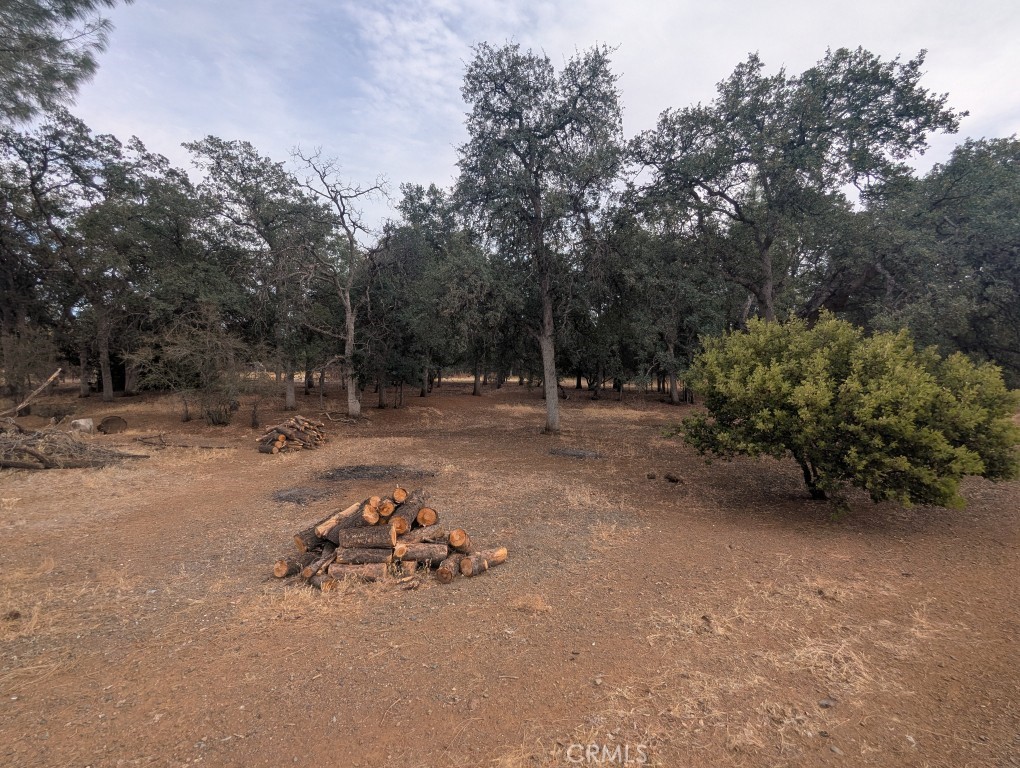 1962 Fouts Springs Road Property Photo 55