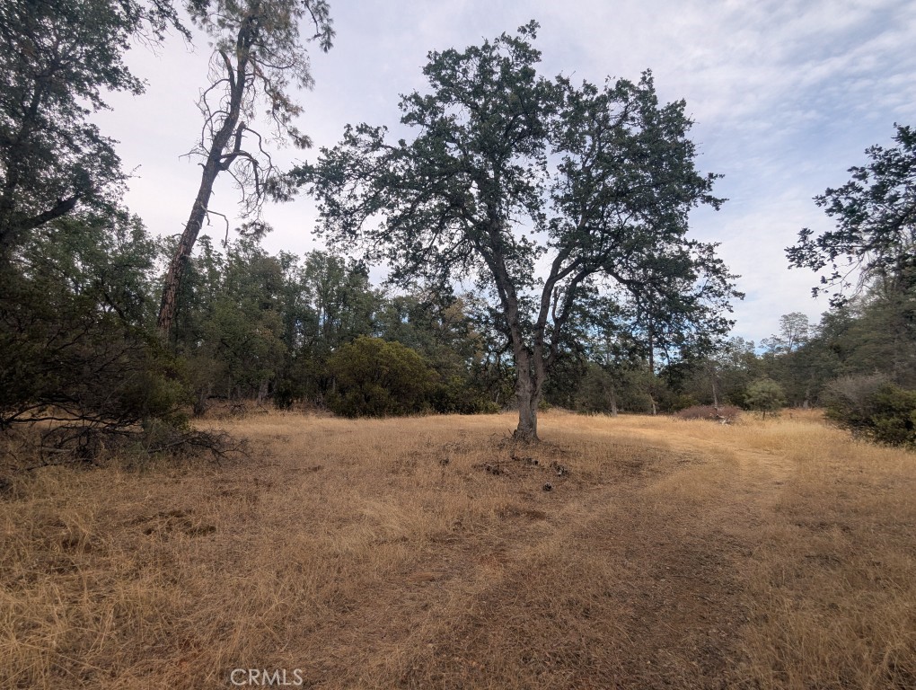 1962 Fouts Springs Road Property Photo 57
