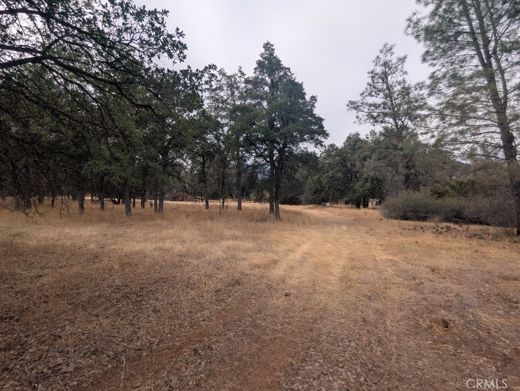 1962 Fouts Springs Road Property Photo 59