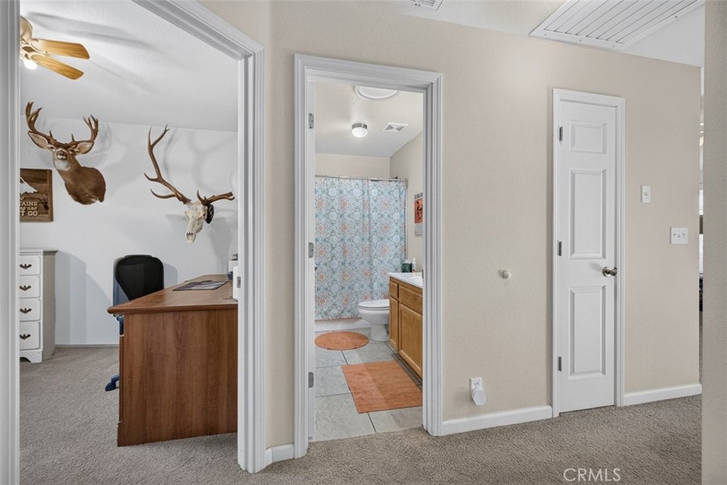 1198 Gossamer Property Photo 15