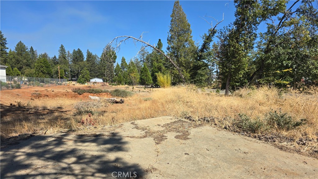 13709 S Park Property Photo 4