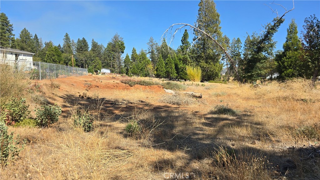 13709 S Park Property Photo 5