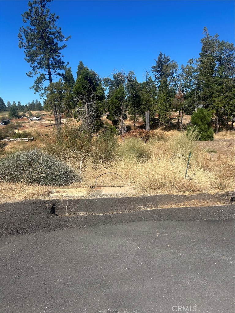 13665 Fritz Court Property Photo 1