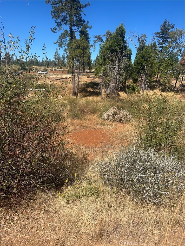 13665 Fritz Court Property Photo 2