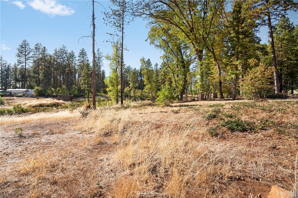 6915 Clark Property Photo 6